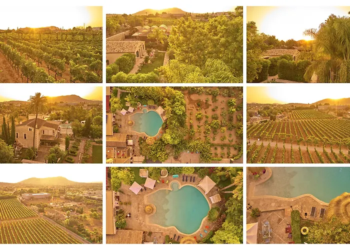 Agroturismo Sa Vinya Des Convent