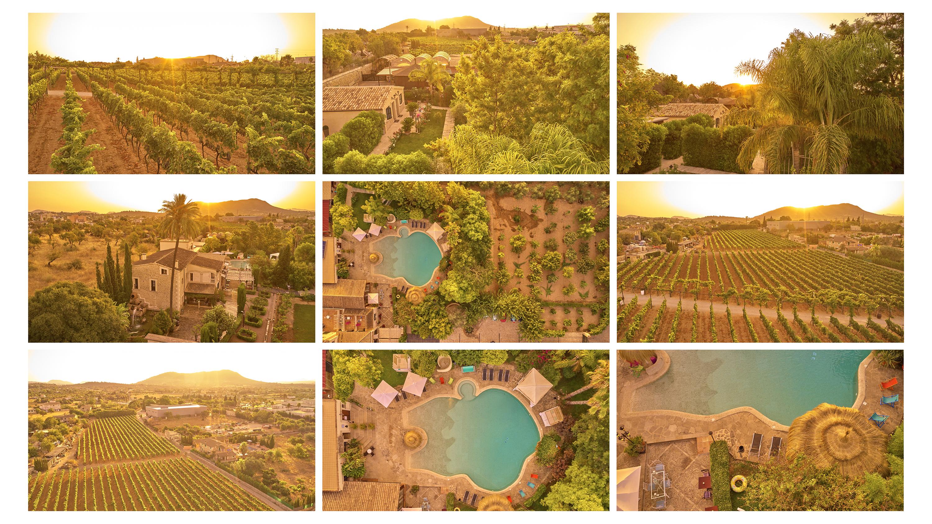 Sa Vinya Des Convent Agroturismo