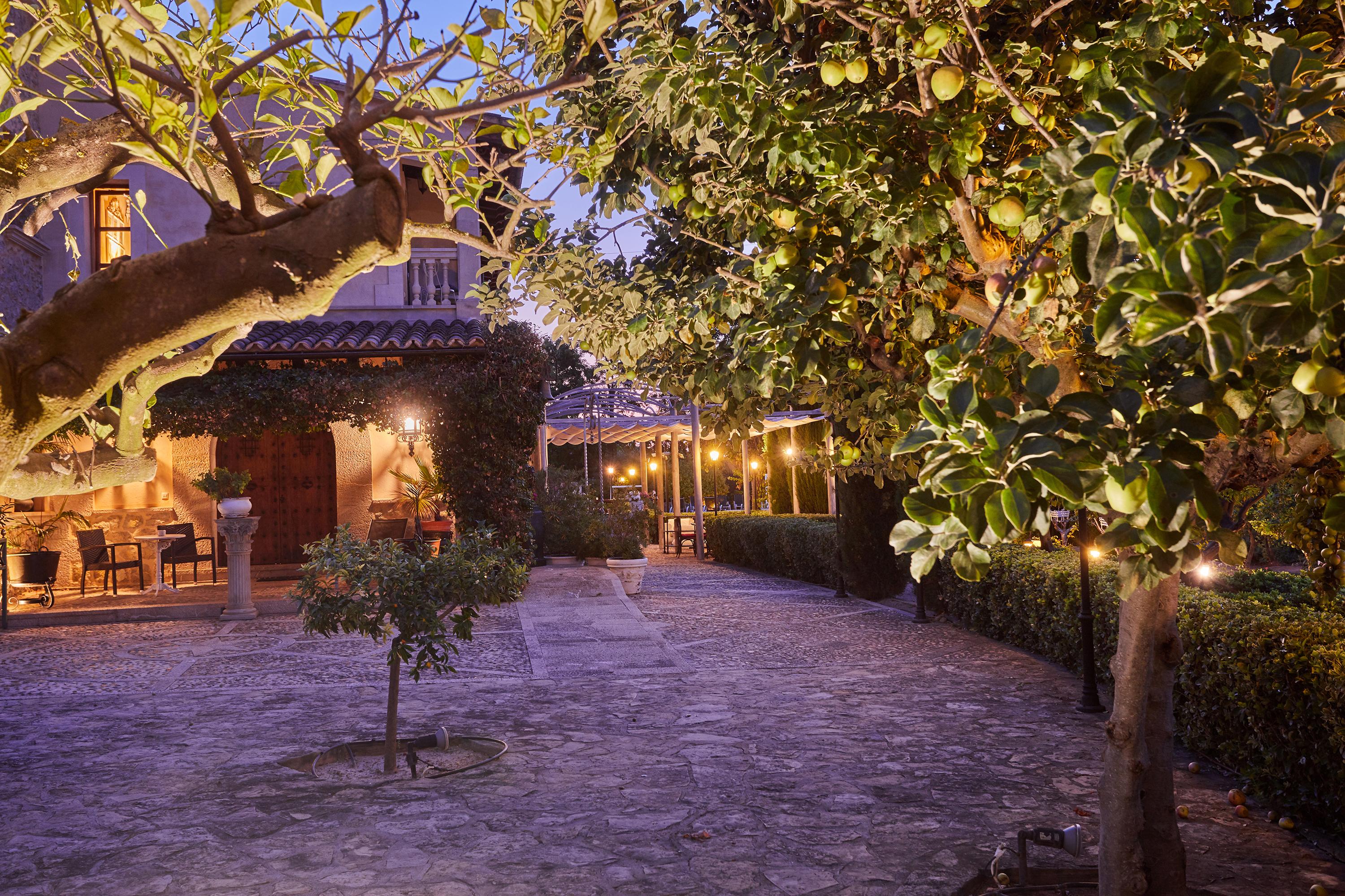 Sa Vinya Des Convent * Inca (Mallorca)