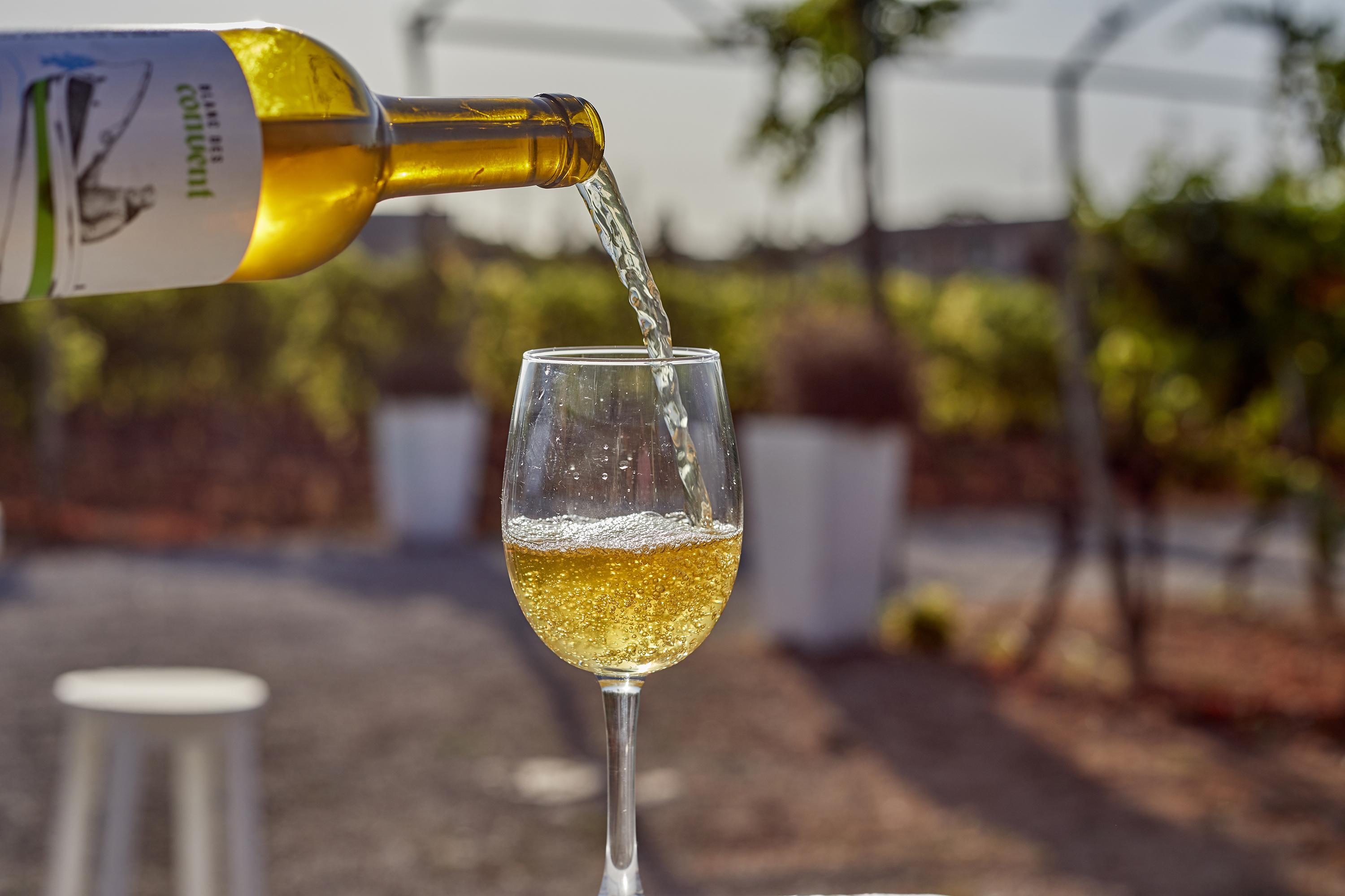 Agroturismo Sa Vinya Des Convent Inca (Mallorca)
