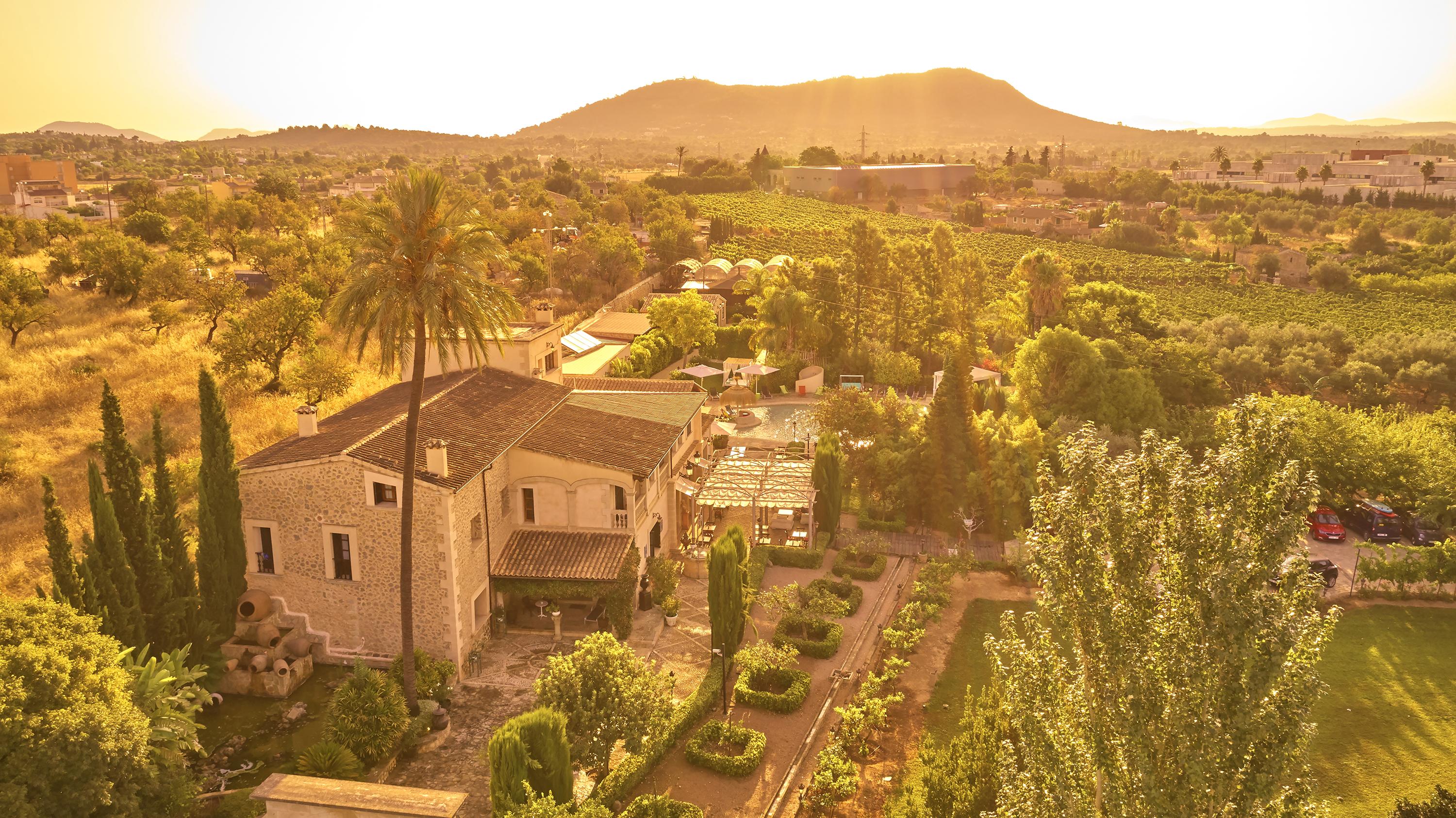 Sa Vinya Des Convent Agroturismo